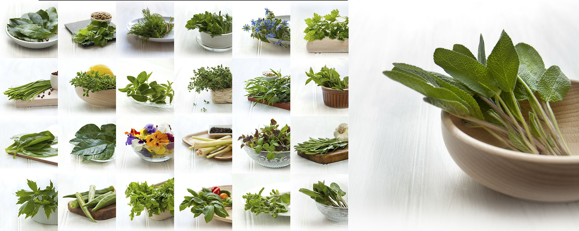 test_fullsize_BestWestern_1500px