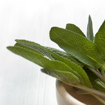 square_guide_01_1500px